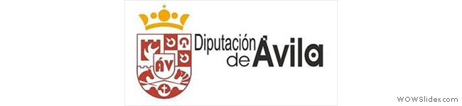 diputacionavila