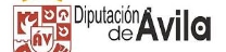 diputacionavila